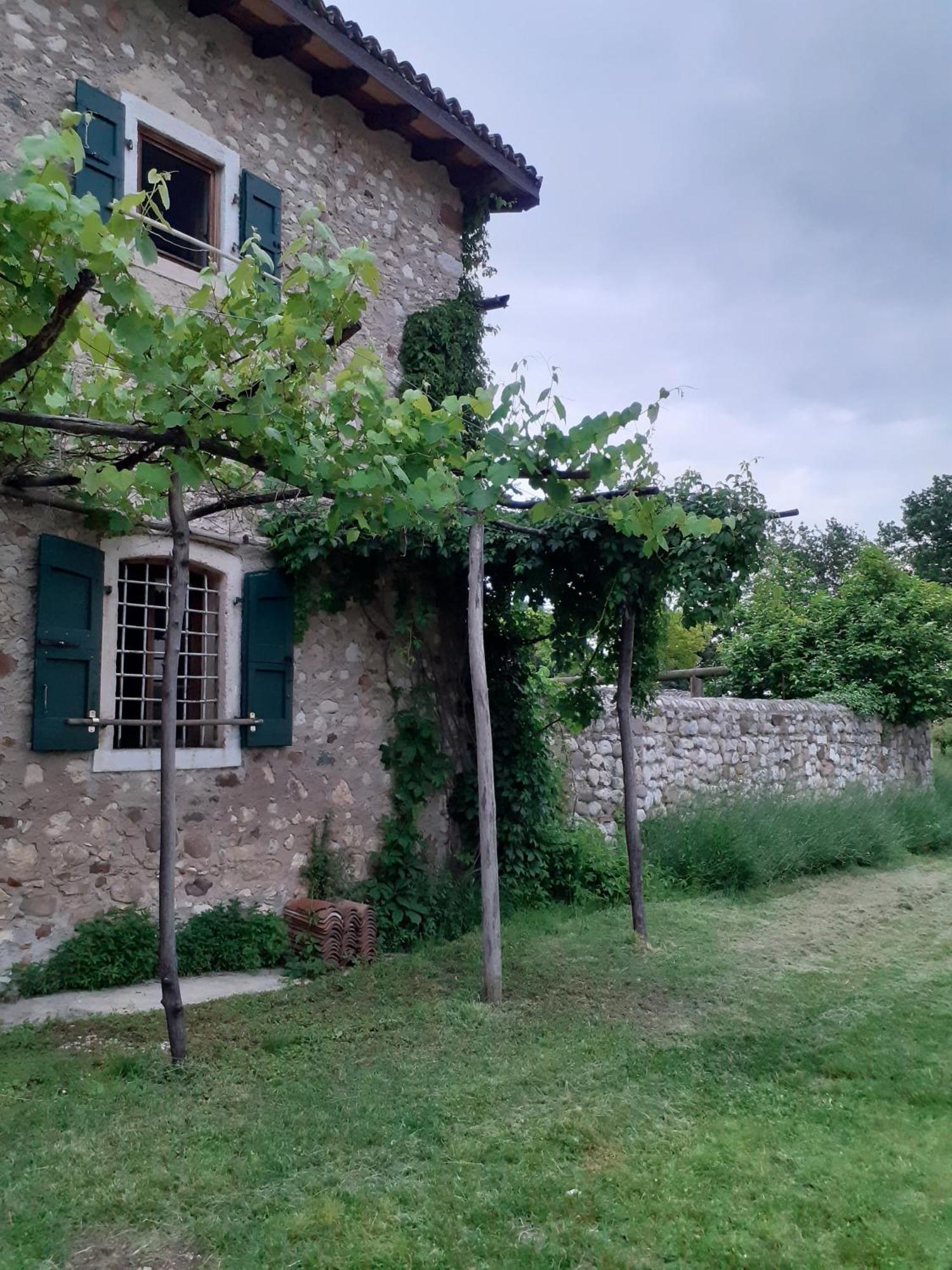 Il Rovero Daire Castion Veronese Dış mekan fotoğraf