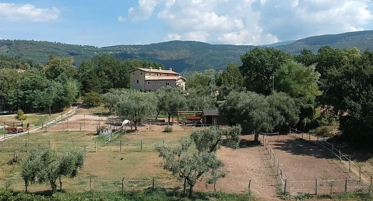 Il Rovero Daire Castion Veronese Dış mekan fotoğraf